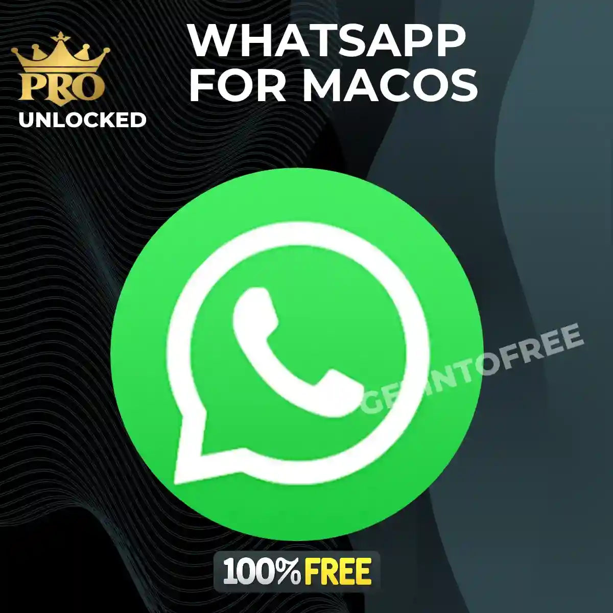 WhatsApp for macOS download WhatsApp desktop app on Mac WhatsApp for Mac interface WhatsApp macOS chat window WhatsApp desktop messaging app WhatsApp for MacBook WhatsApp voice calling on Mac WhatsApp video calling on macOS WhatsApp file sharing on Mac WhatsApp latest version for macOS